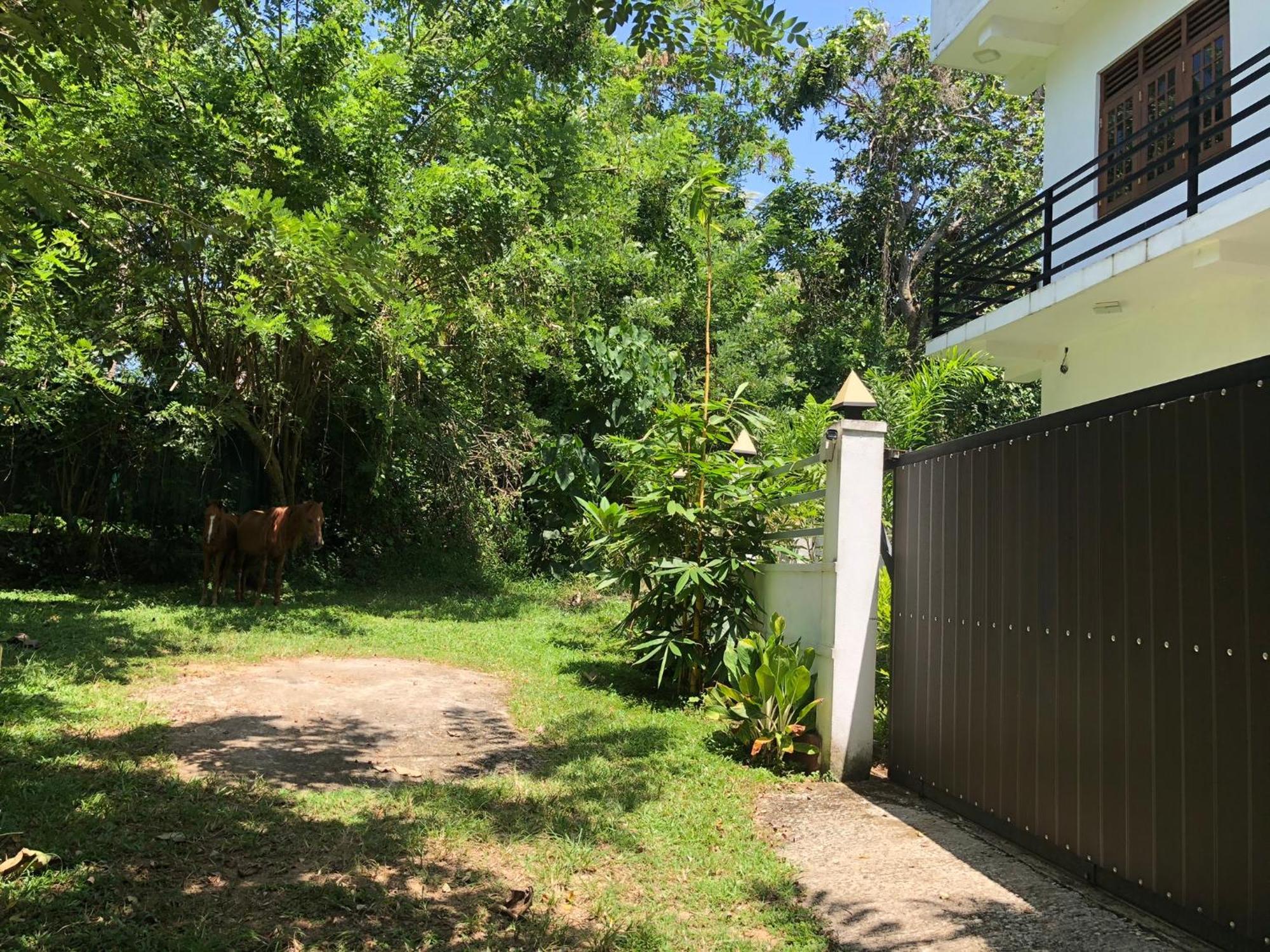 Lanka Villa Мирисса Экстерьер фото